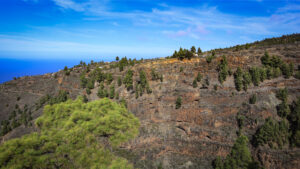 vulkanisches Gestein und steile Schluchten – La Palma bietet anspruchsvolle Kletterziele
