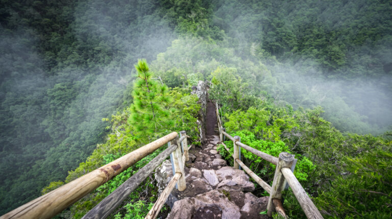 Mirador Espigón Atravesado im Biosphärenreservat Los Tilos auf La Palma
