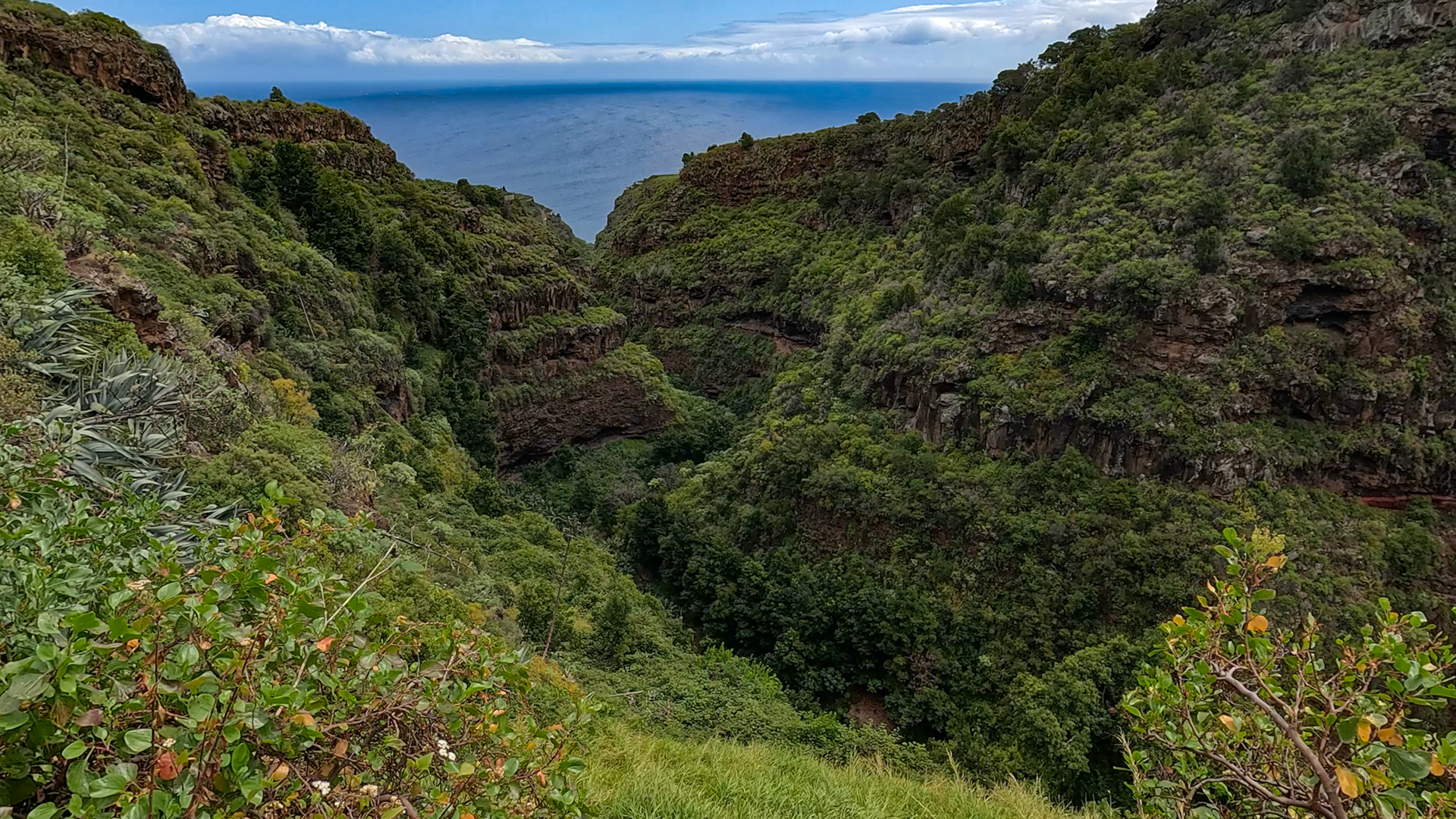 Tropisches Grün, Weitsicht, Atlantikstille — der Mirador Jardín de las Hespérides an der LP-1