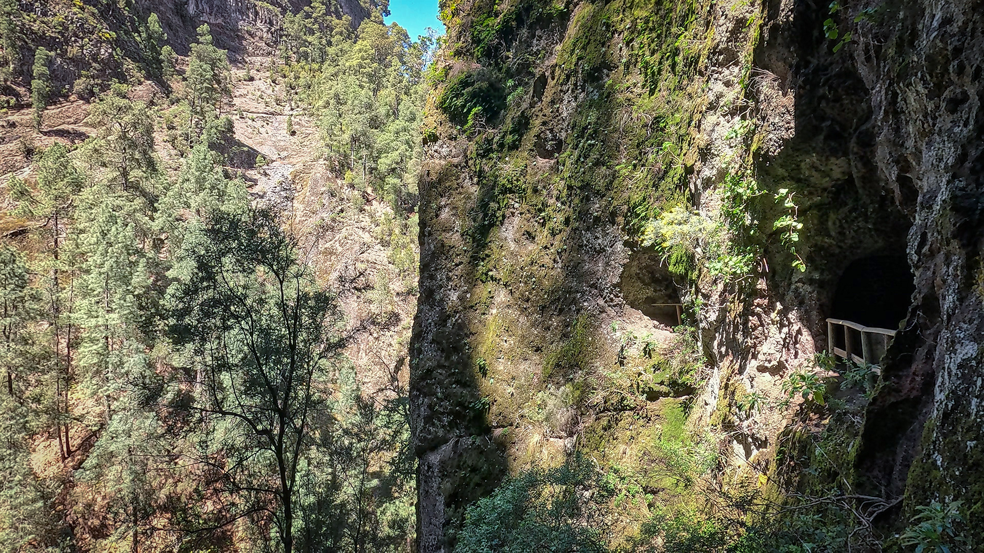 Tunnelroute Los Tilos – Steilwände und Lorbeerwald im Nordosten La Palmas.