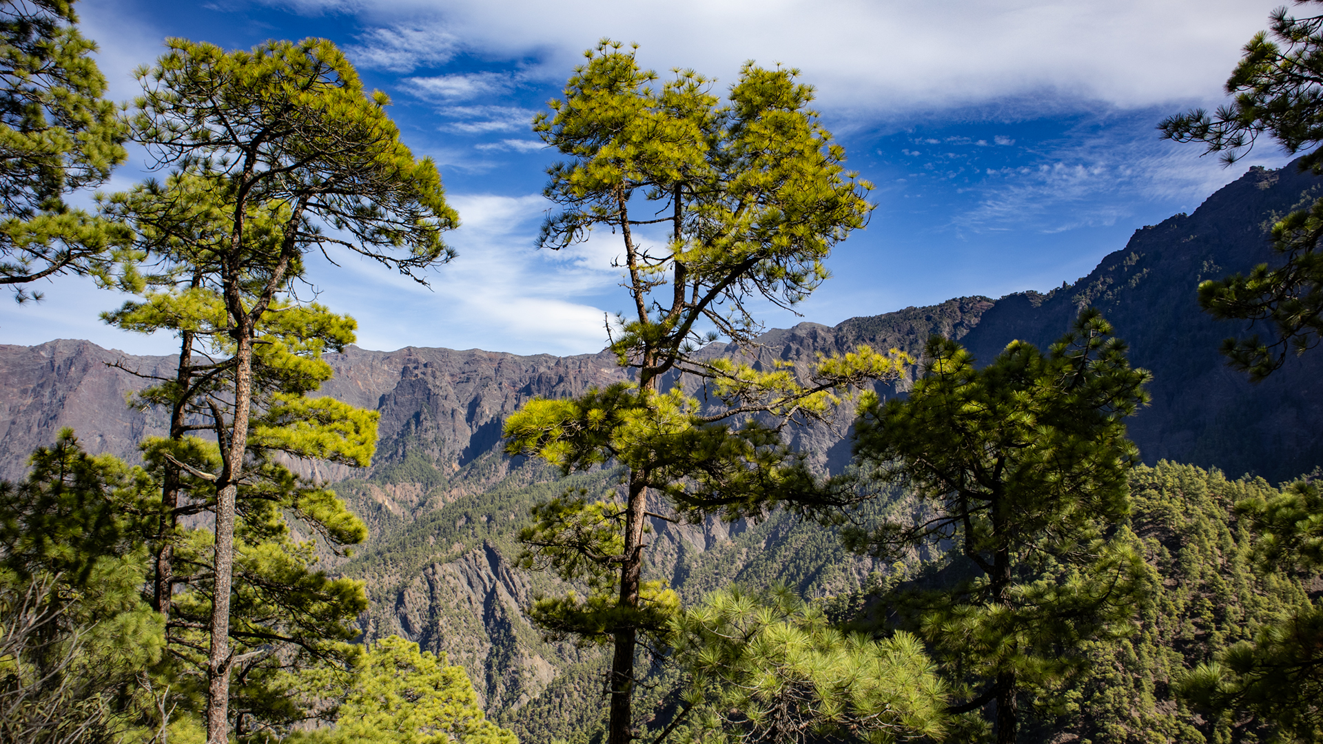 Panoramablick über die Caldera de Taburiente vom Wanderweg