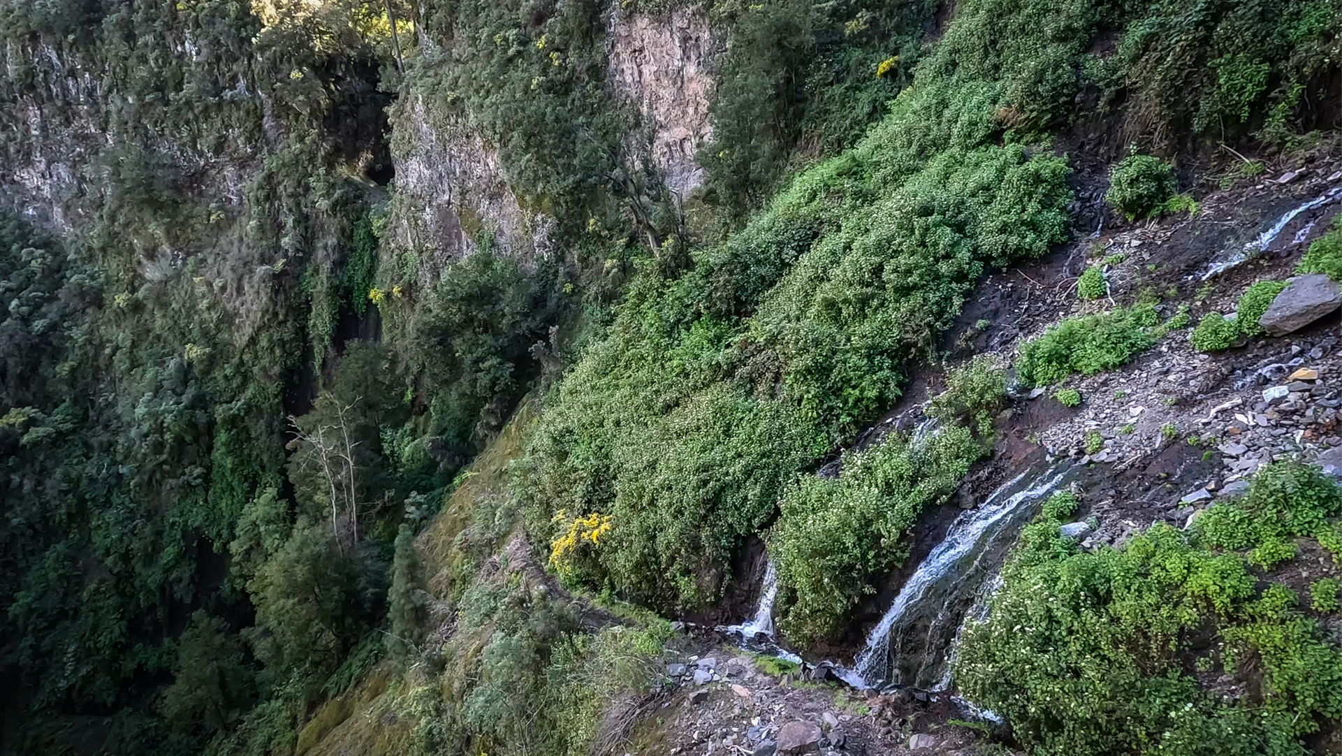 Quellgebiet der Nacientes de Marcos im Norden La Palmas