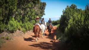Reiten auf La Palma