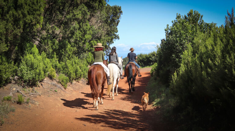 Reiten auf La Palma