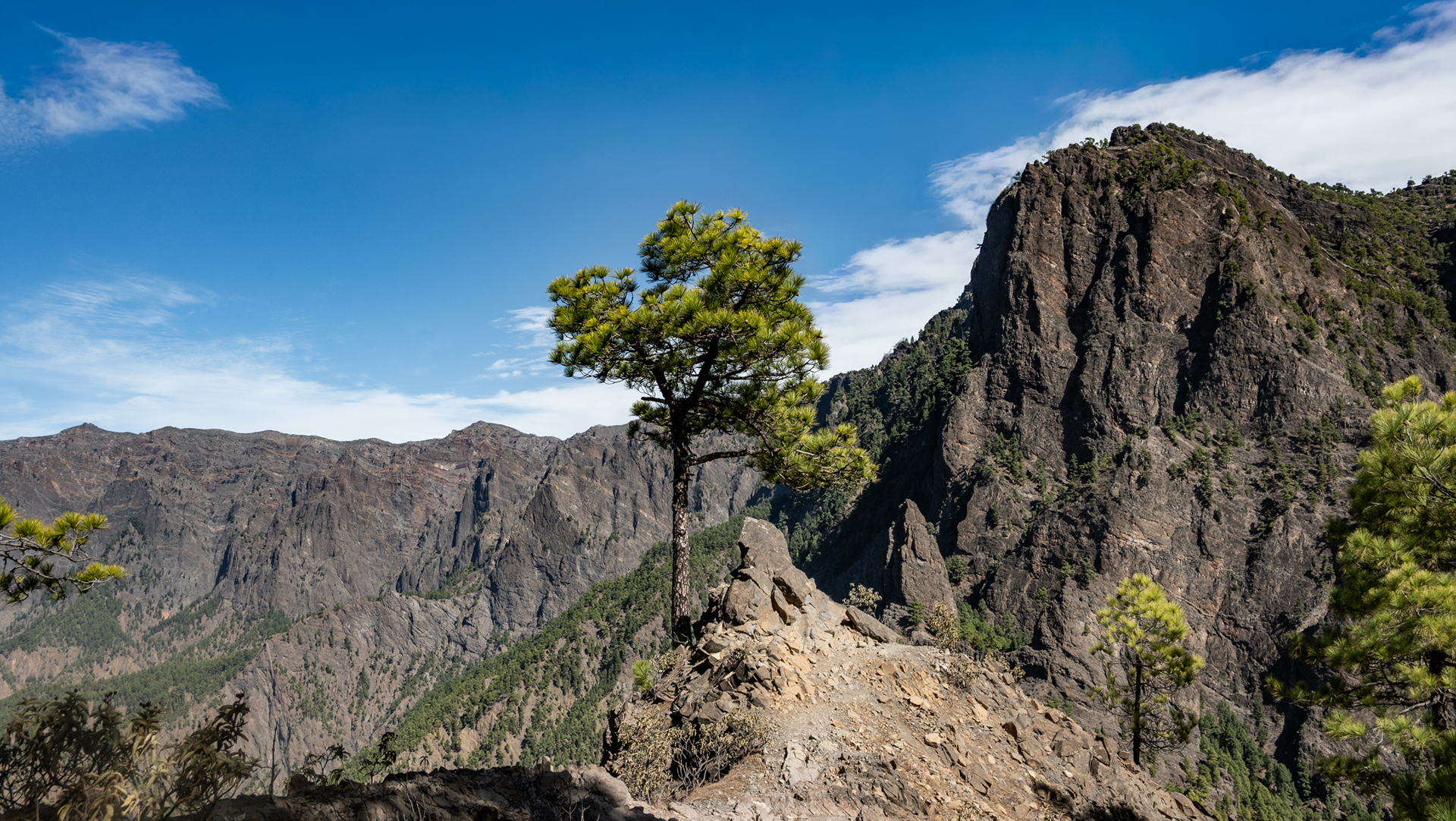 Blick vom Gipfel des Pico Bejenado auf das Panorama der Caldera de Taburiente auf La Palma