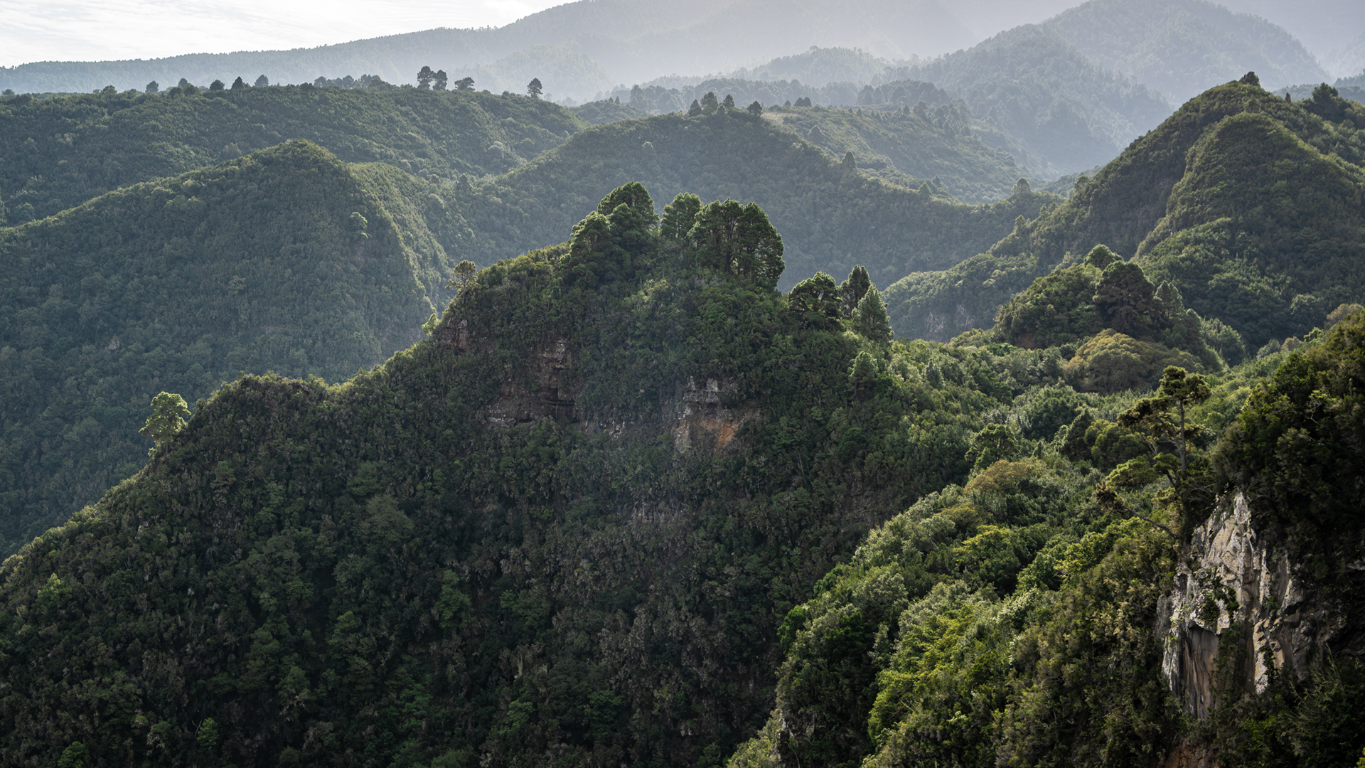 La Palma Nordlandschaft – das wilde Schluchtenland von Garafía