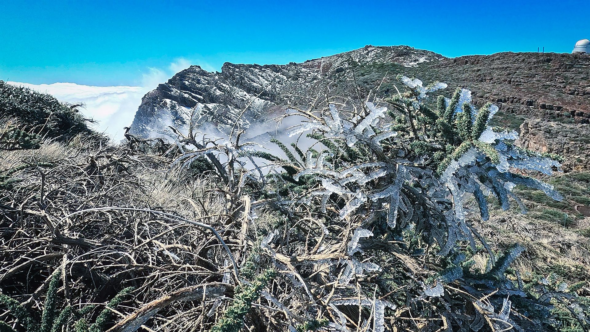 La Palma im Winter zeigt eine andere Seite – Schnee auf dem Caldera-Kamm