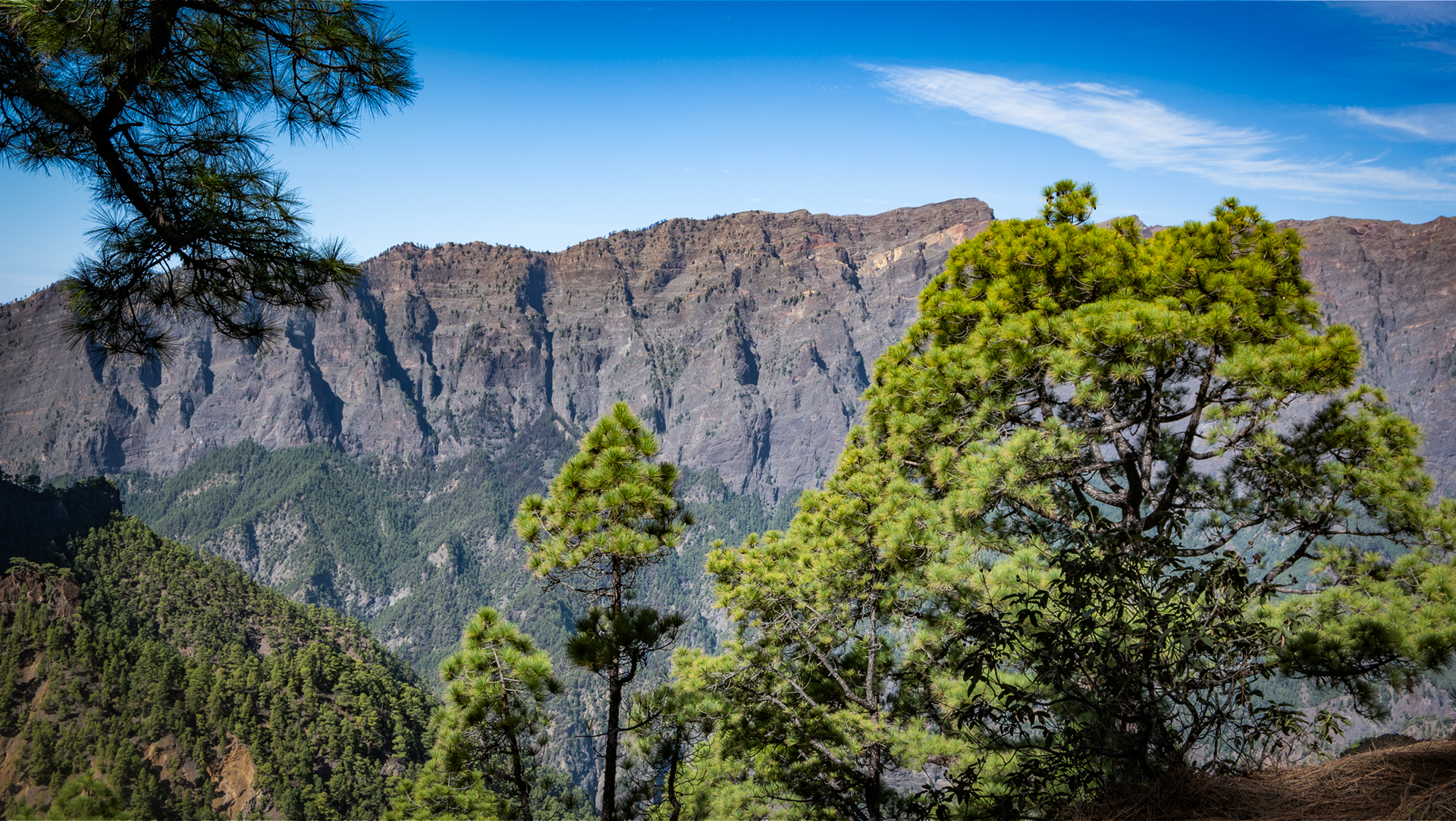Auf dem Weg zum Pico Bejenado öffnet sich immer wieder der Blick in die Tiefe der Caldera