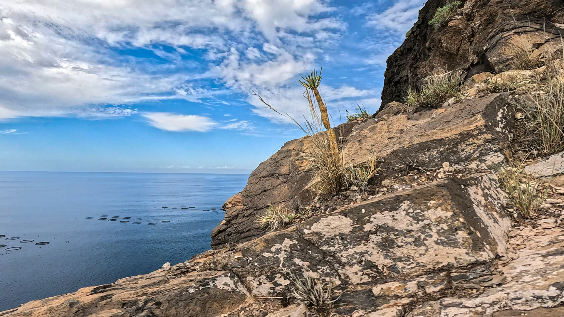 Steilwände am Wanderweg Mirador El Time – Puerto de Tazacorte, La Palma