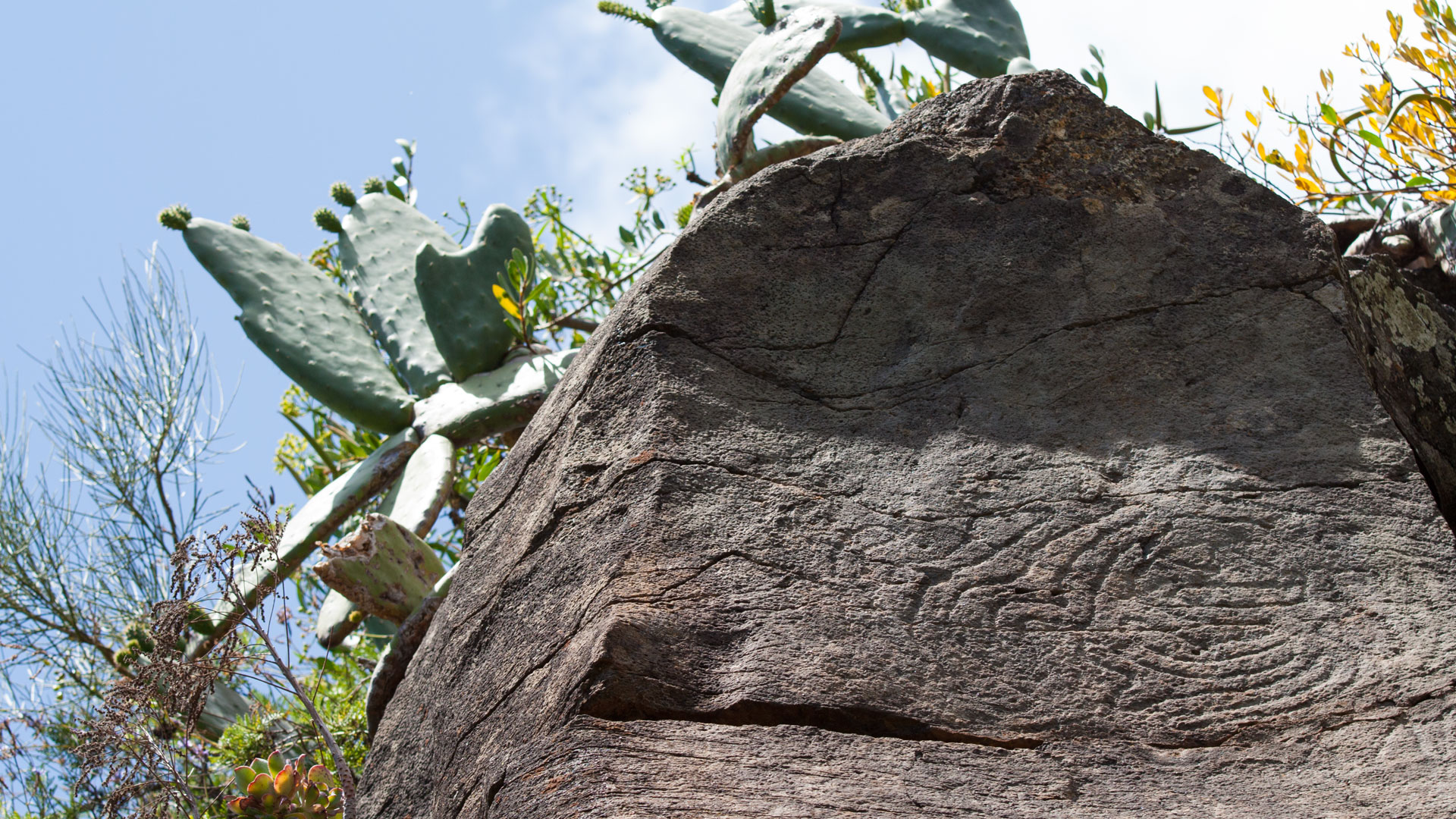 Archäologische Fundstätte bei den Cuevas de Buracas – in den Lavafels eingeritzte Petroglyphen der Benahoritas