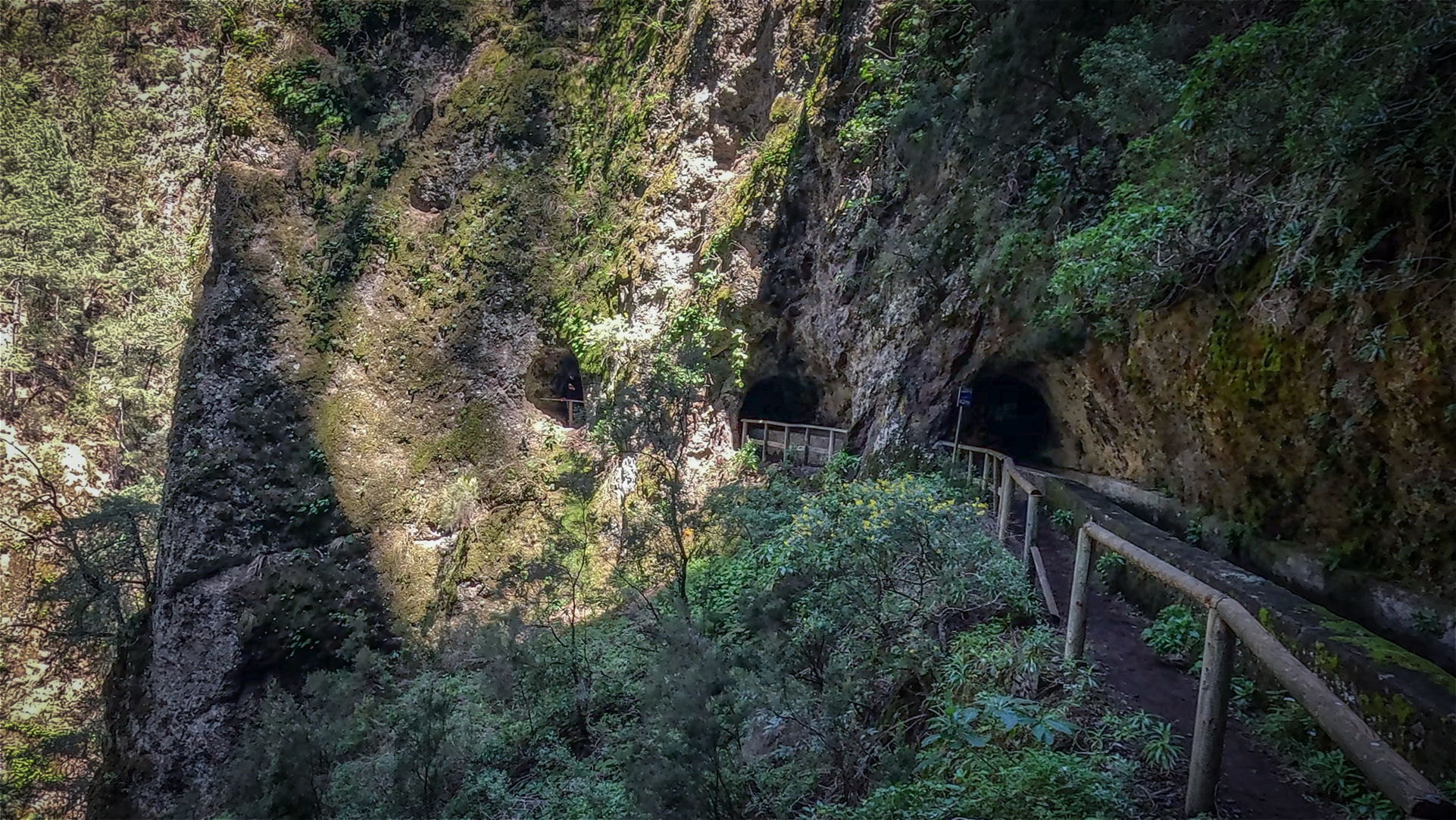 Durch den Fels, ins Grüne – die Tunnelroute im Biosphärenreservat Los Tilos