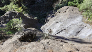 Barranco de Jieque im Westen La Palmas