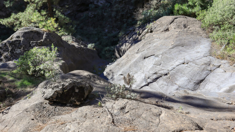 Barranco de Jieque im Westen La Palmas