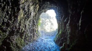 Wasserschleier am Tunnel der Marcos-y-Cordero-Quellen – Wasser aus dem Fels im Lorbeerwald Los Tilos