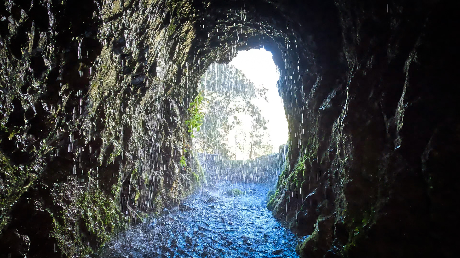 Wasserschleier am Tunnel der Marcos-y-Cordero-Quellen – Wasser aus dem Fels im Lorbeerwald Los Tilos