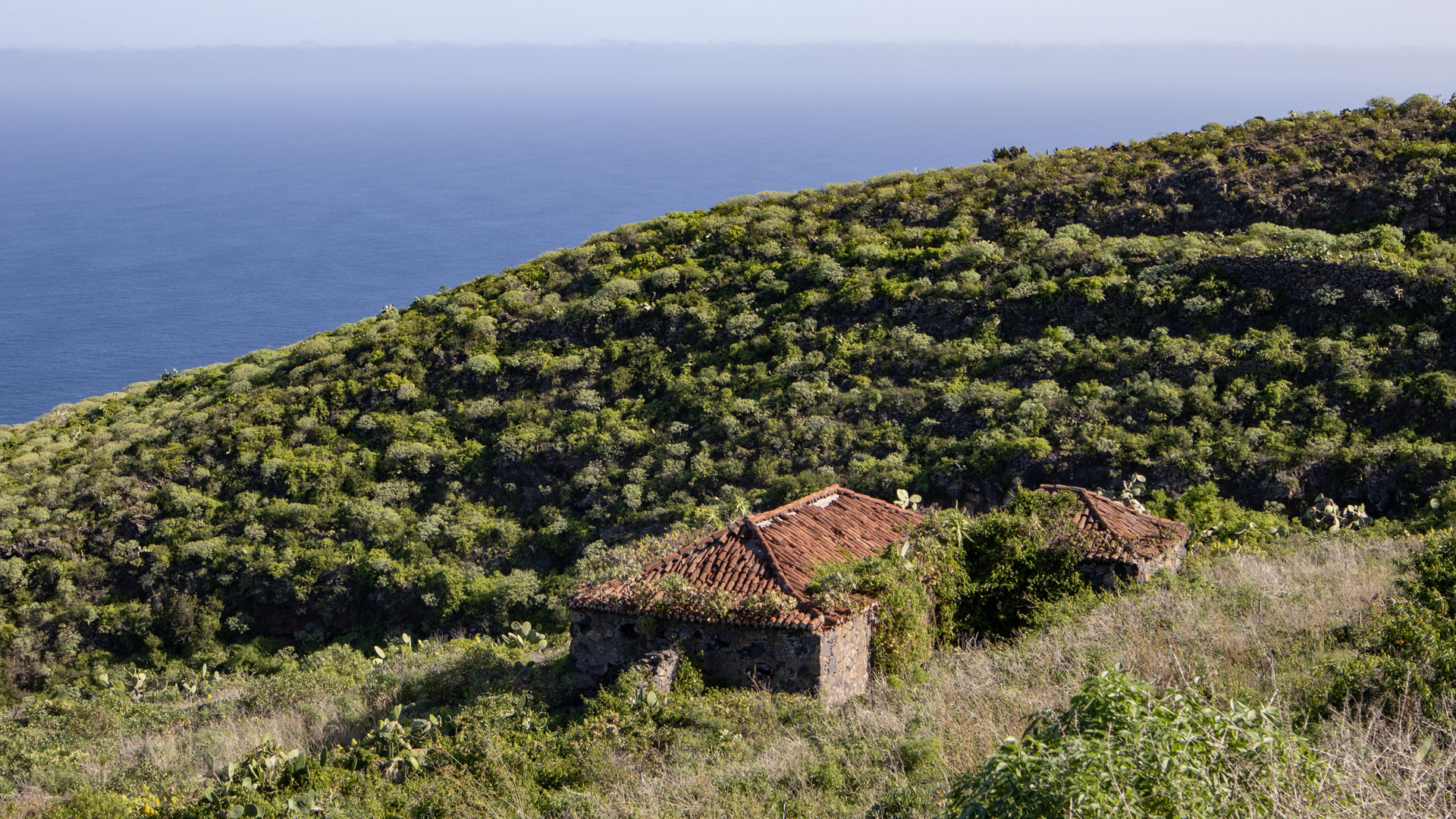 Verlassene Finca bei Gallegos.