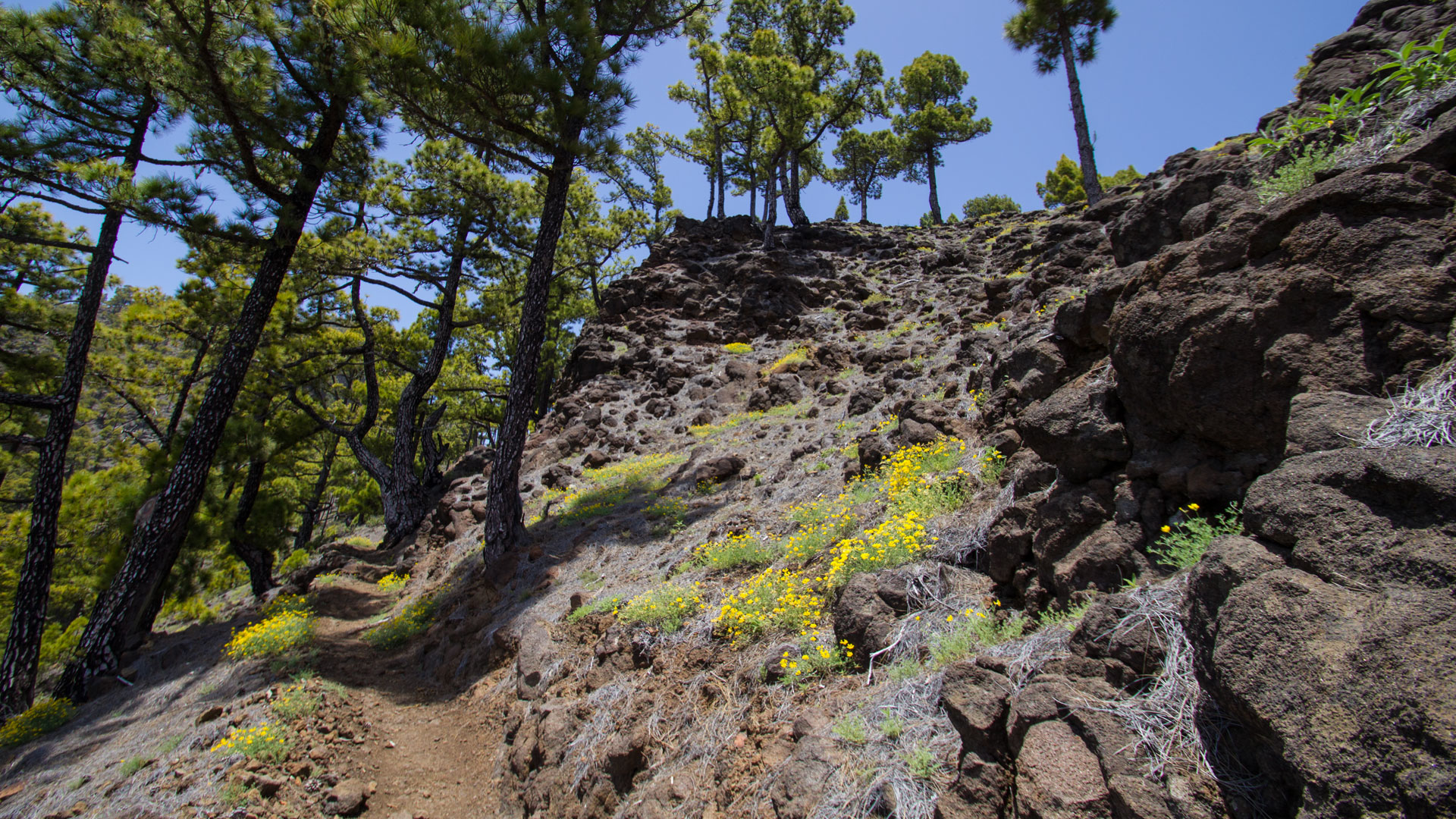 Wanderweg entlang des Höhenkamms des Pico Bejenado