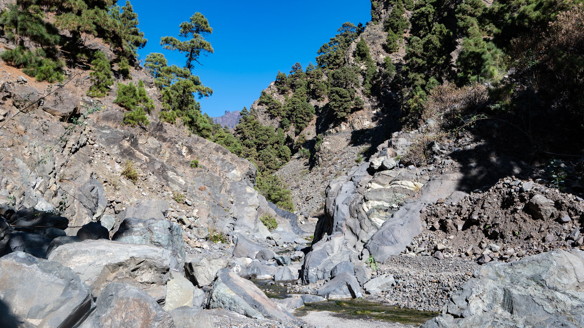 Río Taburiente – klarer Bachlauf im Herzen des Nationalparks Caldera de Taburiente