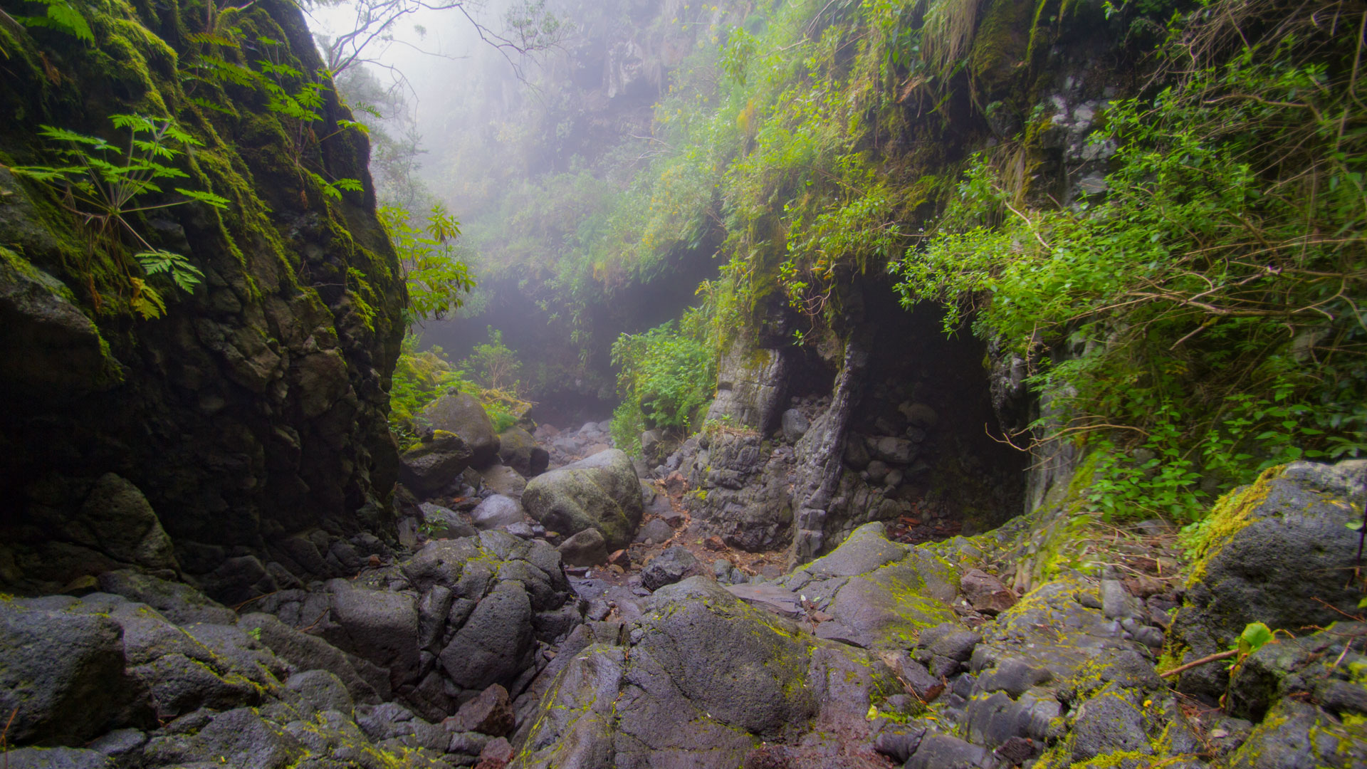 Barranco del Agua — Canyoning im Herz des Lorbeerwaldreservats Los Tilos.