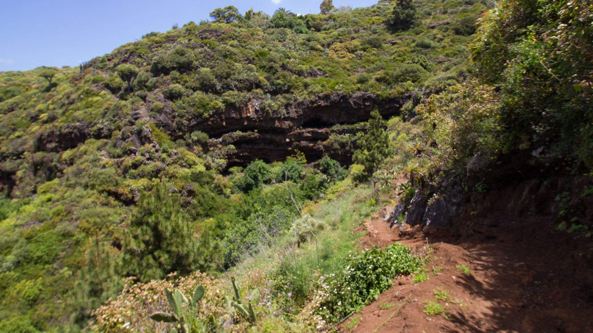 Wanderpfad zu den Cuevas de Buracas auf La Palma