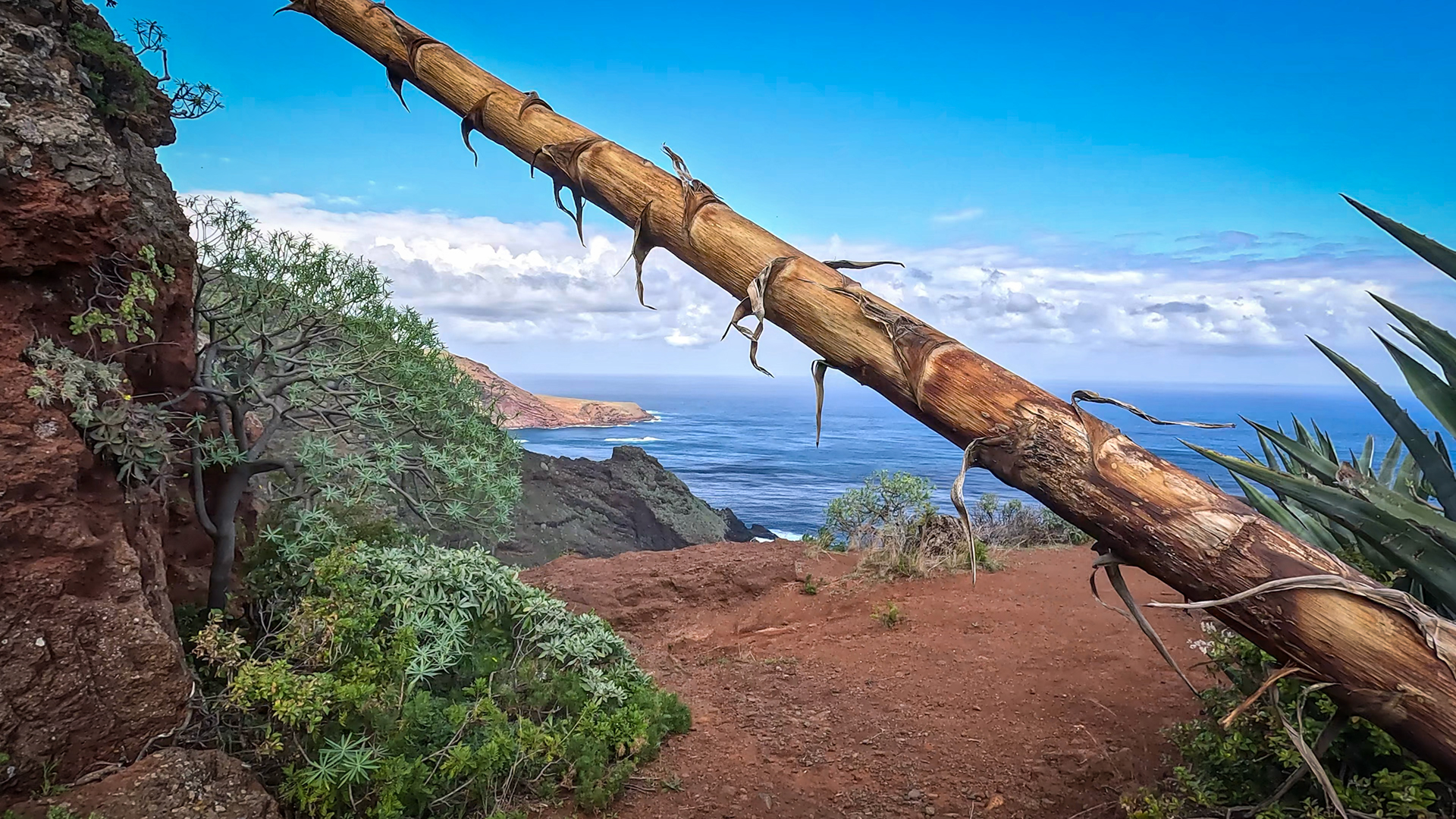 Wanderweg von El Tablado in den Barranco Fagundo mit wechselnden Ausblicken auf die Atlantikküste 