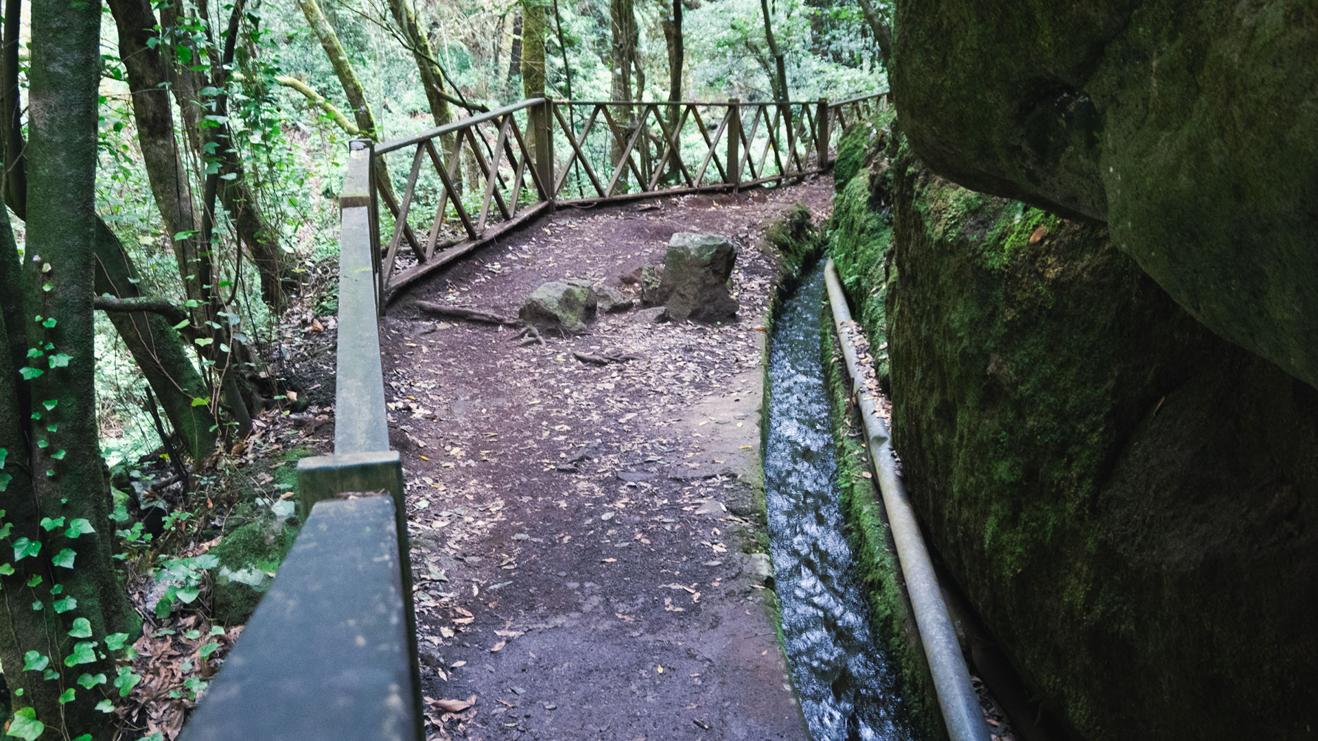 Das Wasser weiß den Weg – der Wanderpfad folgt dem alten Kanal durch den Lorbeerwald von Los Tilos