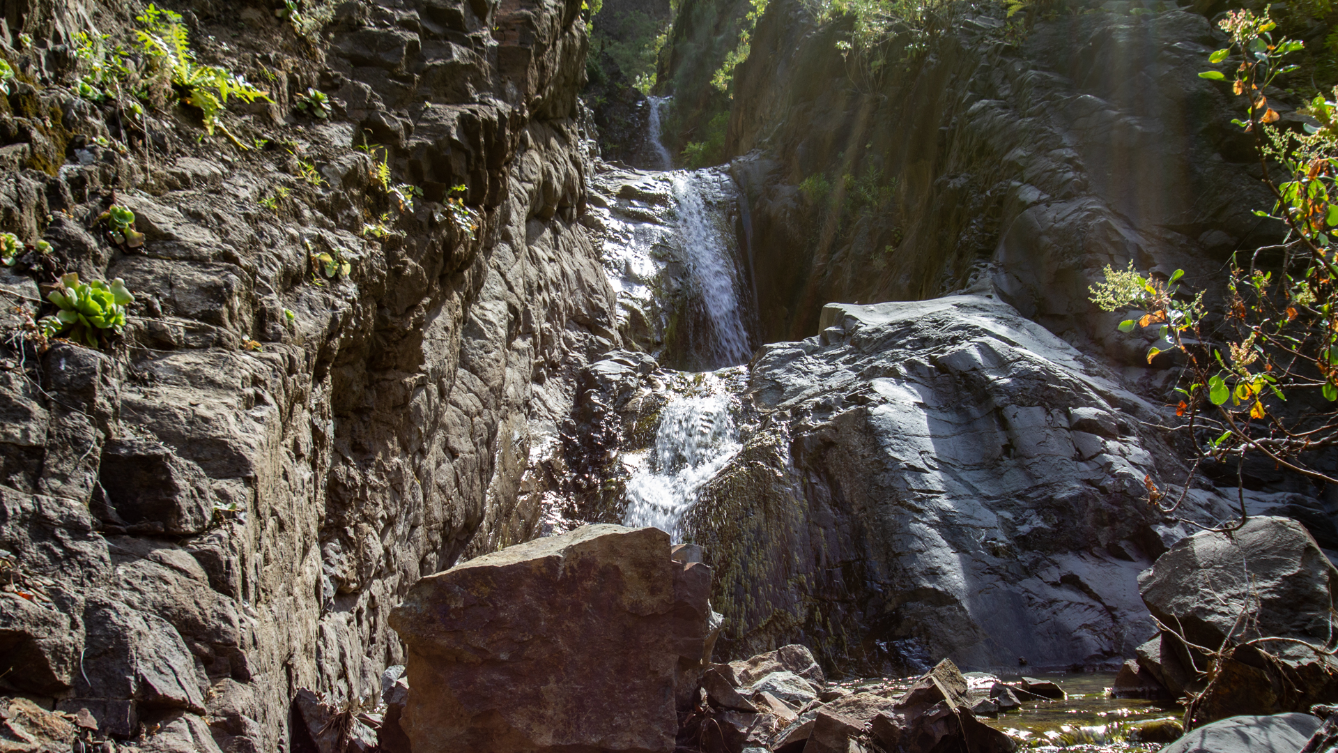 Zufluss und Wasserfall im Barranco de las Angustias – Wasser in der Tiefe des Nationalparks