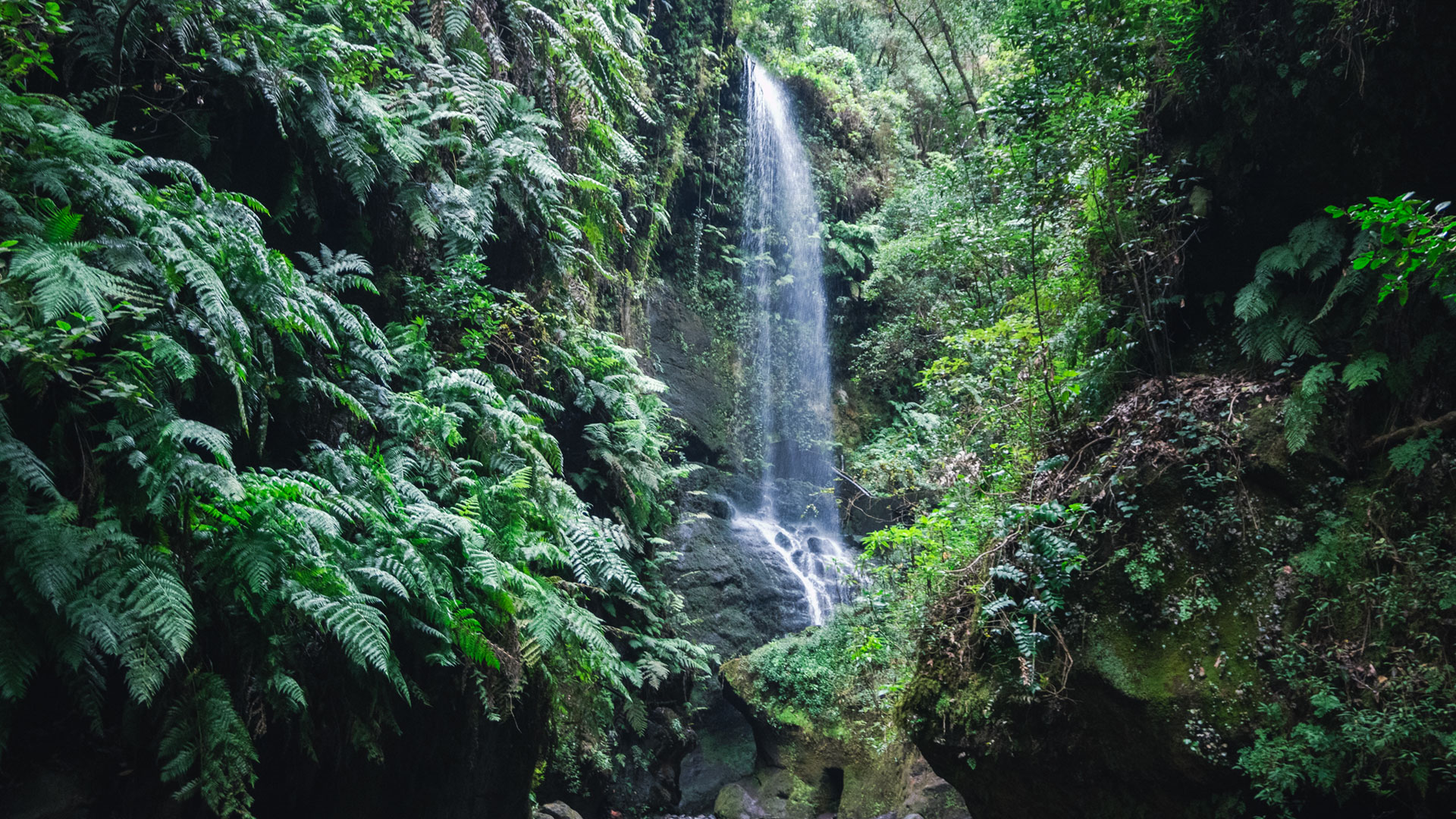 Wanderweg durch die Schlucht Barranco de las Angustias