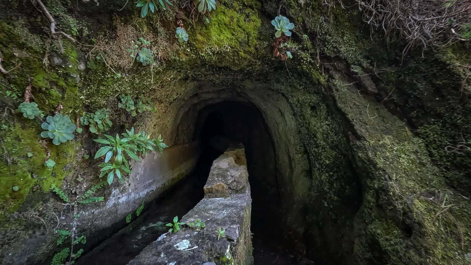 Tunnel und Kanal – Wanderweg zu den Quellen Marcos y Cordero