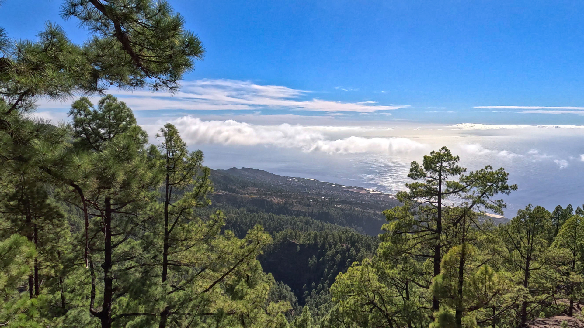 Ausblick auf die Westküste La Palmas und den Atlantik.